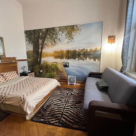 Apartament Ultracentral 2 Piata Muzeului 克卢日-纳波卡 外观 照片