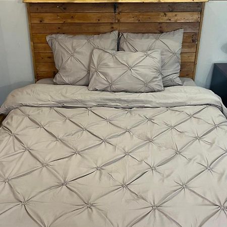 Apartament Ultracentral 2 Piata Muzeului 克卢日-纳波卡 外观 照片