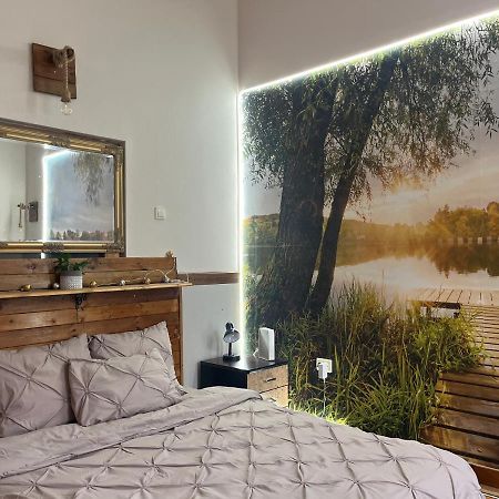 Apartament Ultracentral 2 Piata Muzeului 克卢日-纳波卡 外观 照片