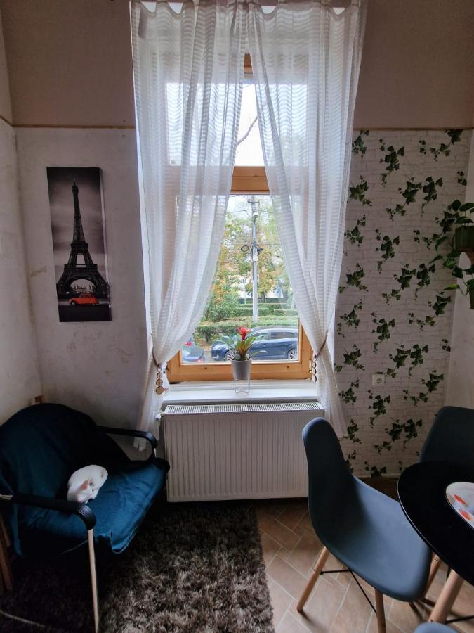 Apartament Ultracentral 2 Piata Muzeului 克卢日-纳波卡 外观 照片