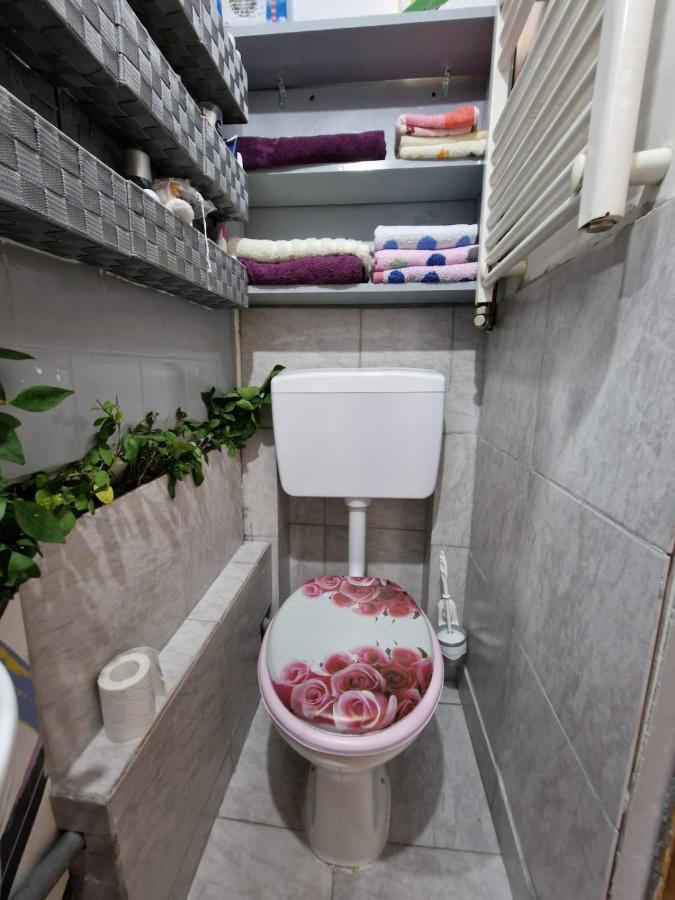 Apartament Ultracentral 2 Piata Muzeului 克卢日-纳波卡 外观 照片