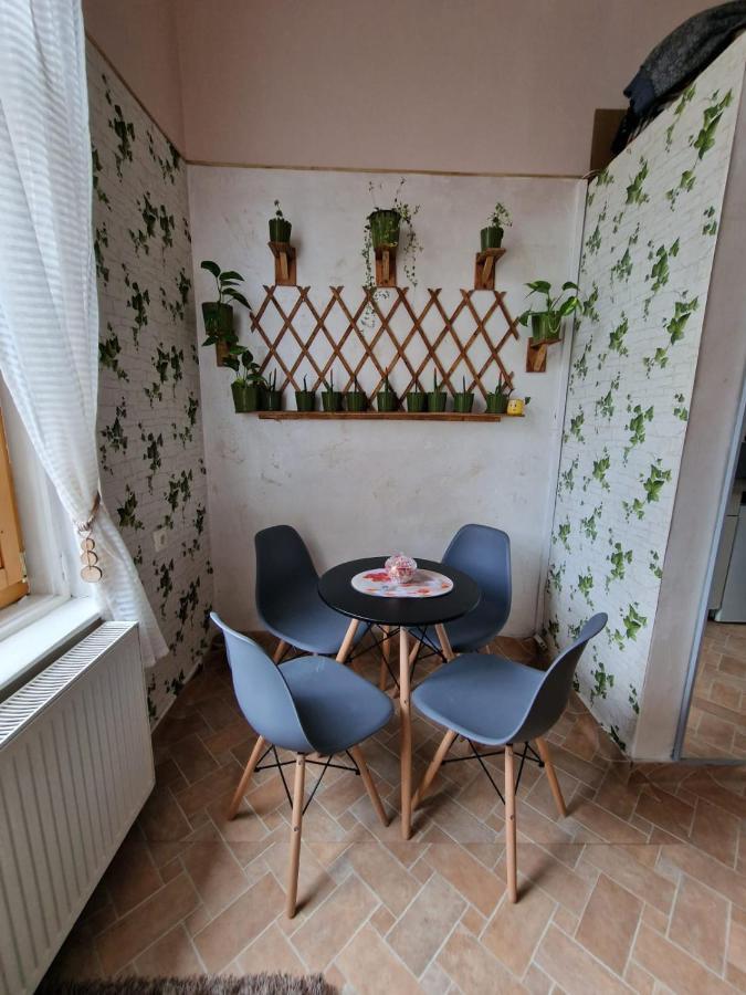 Apartament Ultracentral 2 Piata Muzeului 克卢日-纳波卡 外观 照片
