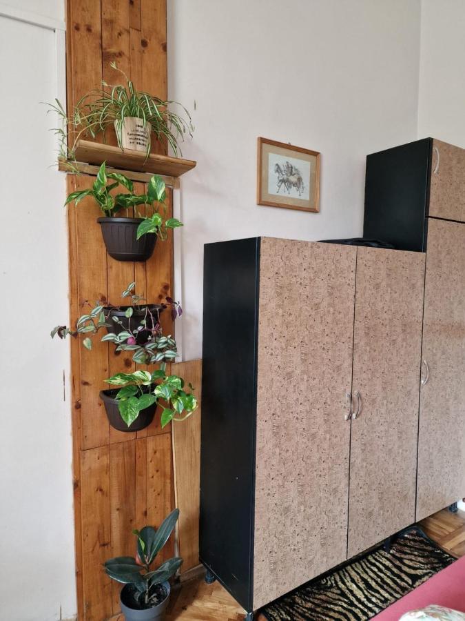 Apartament Ultracentral 2 Piata Muzeului 克卢日-纳波卡 外观 照片