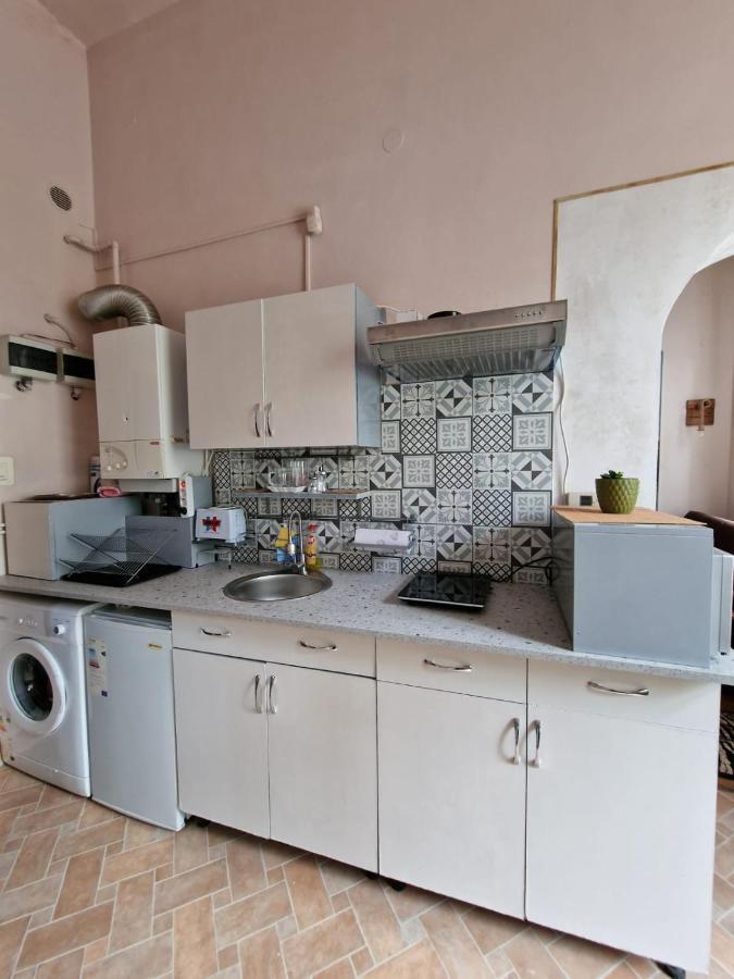 Apartament Ultracentral 2 Piata Muzeului 克卢日-纳波卡 外观 照片