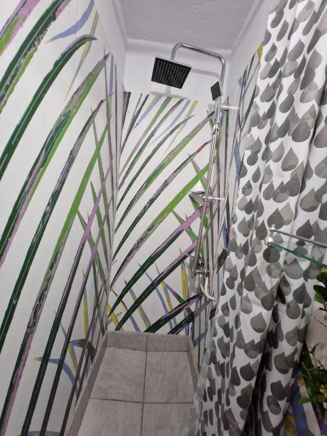 Apartament Ultracentral 2 Piata Muzeului 克卢日-纳波卡 外观 照片