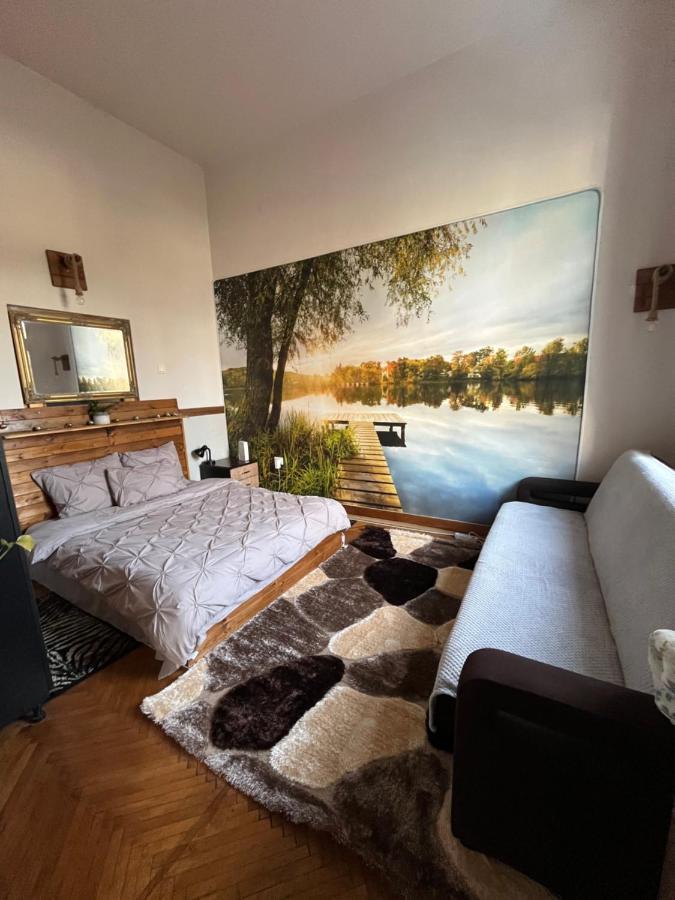 Apartament Ultracentral 2 Piata Muzeului 克卢日-纳波卡 外观 照片