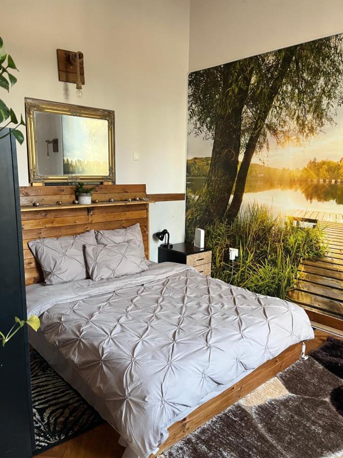 Apartament Ultracentral 2 Piata Muzeului 克卢日-纳波卡 外观 照片